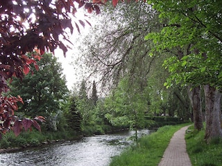 Lauchert in the centre of the village
