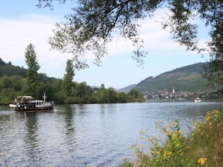 Moselidylle, Moselufer bei uns vor dem Haus