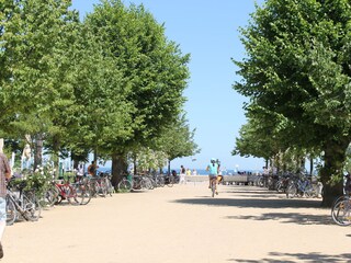 Kühlungsborn Ost (Seebrücke)