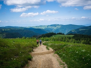 Wandern am Feldberg