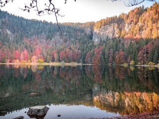 Der romantische Feldsee am Feldberg