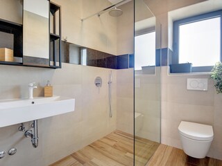 Villa Pomer Caratteristiche 36