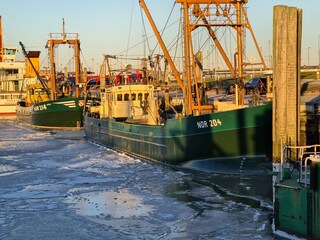 Casa per le vacanze Norddeich Ambiente 33