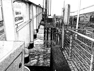 Casa per le vacanze Norddeich Ambiente 36