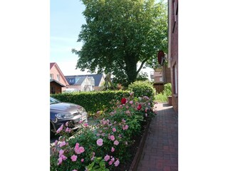 Holiday house Norddeich Outdoor Recording 6