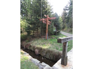 Apartamento de vacaciones Altenau im Oberharz Entorno 29