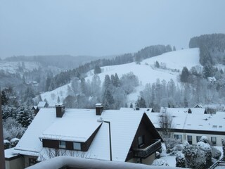 Apartamento de vacaciones Altenau im Oberharz Características 21