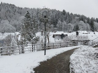 Apartamento de vacaciones Altenau im Oberharz Entorno 37
