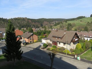 Apartamento de vacaciones Altenau im Oberharz Características 25
