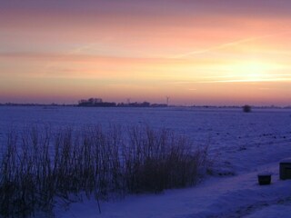 Appartement de vacances Neuharlingersiel Environnement 18