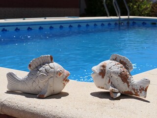 Casa per le vacanze Chiclana de la Frontera Registrazione all'aperto 4