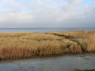 Maison de vacances Dangast Environnement 22