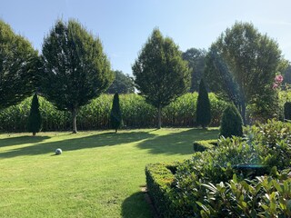 Blick von der hinteren Terrasse auf das anliegende Feld