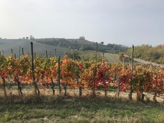 Holiday house Ciglie Environment 33