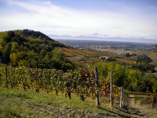 Farbenrausch im Herbst