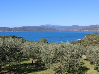 Vakantieappartement Capoliveri Buitenaudio-opname 3