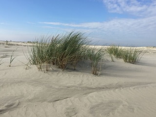 Borkum Impressionen