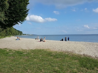 Haffstrand in Kamminke in 3 km Entfernung