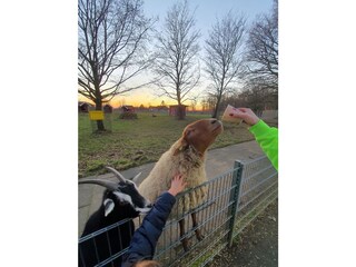 Casa per le vacanze Gebhardshain Ambiente 37