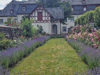 Maison de vacances Gebhardshain Environnement 40