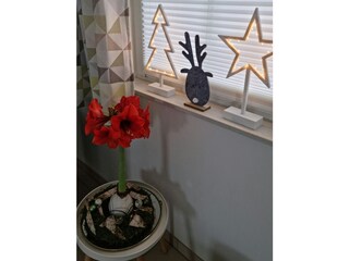 Casa de vacaciones Kramerhof Características 28