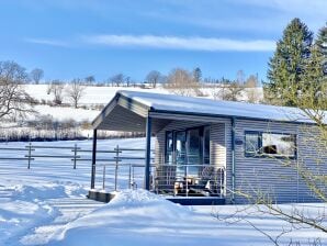 Ferienhaus Sauerland-Häuschen Kleines Glück - Willingen - image1