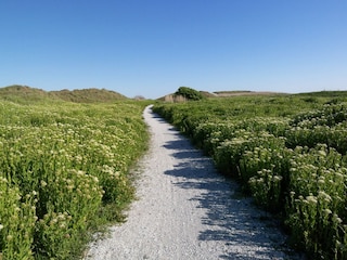 Vakantiehuis Julianadorp Omgeving 31