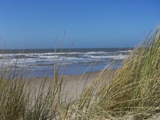 Casa de vacaciones Julianadorp Entorno 37