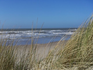 Vakantiehuis Julianadorp Omgeving 37