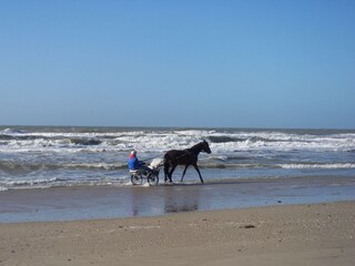 Casa per le vacanze Julianadorp Ambiente 38