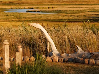 Strandfund im Garten in Sand