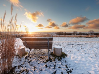 Himmelsliege mit Blick ins Naturschutzgebiet