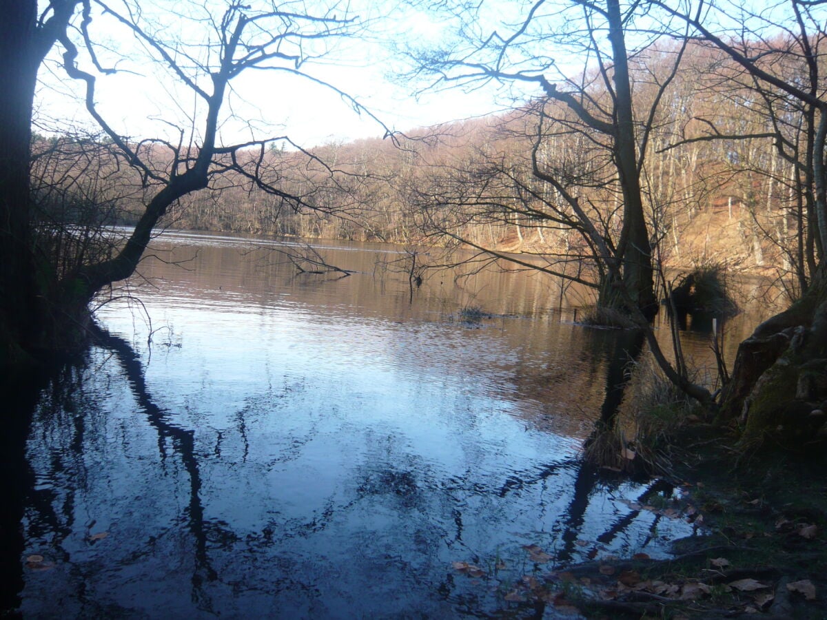 mystisch: der Herthasee im Winter