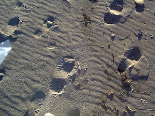 Spuren im Sand