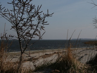 Weststrand in Prerow