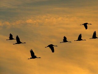 Ferienwohnung Zingst Ausstattung 32