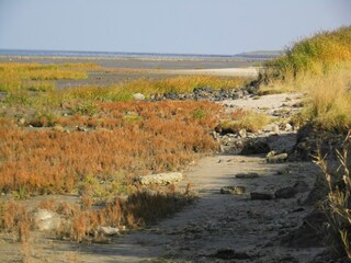 Weltnaturerbe Wattenmeer