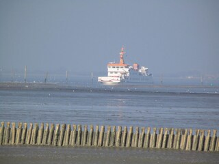 Weltnaturerbe Wattenmeer Bensersiel