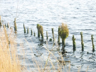 Hochmoorsee - Ewiges Meer