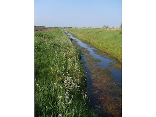 Zwischen Wiesen und Weiden Holtriemer Land