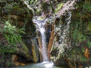 Cascina per vacanze Acquapendente Ambiente 22