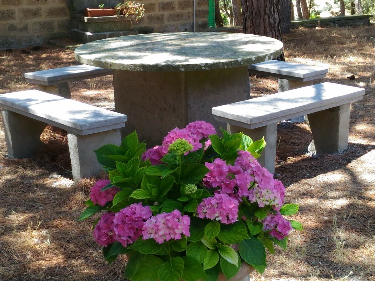 garden table