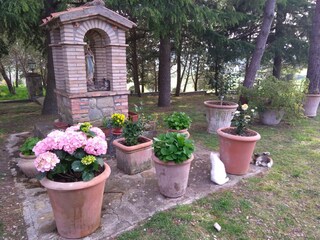 Cascina per vacanze Acquapendente Registrazione all'aperto 17