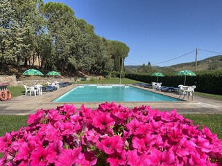 Cascina per vacanze Acquapendente Registrazione all'aperto 6