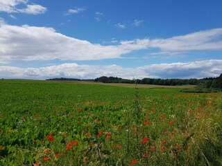 Casa de vacaciones Wichmannsdorf Entorno 30