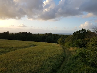 Casa de vacaciones Wichmannsdorf Entorno 31