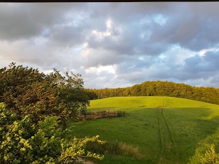 Vakantiehuis Wichmannsdorf Omgeving 32