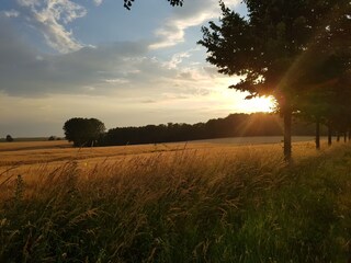 Vakantiehuis Wichmannsdorf Omgeving 31