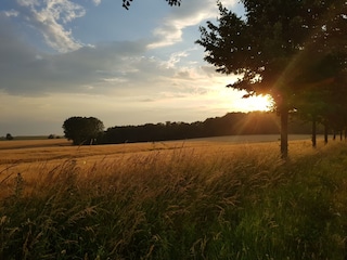 Vakantiehuis Wichmannsdorf Omgeving 33