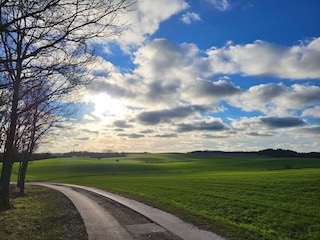 Vakantiehuis Wichmannsdorf Omgeving 36